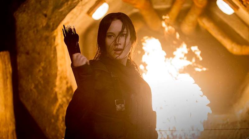 Mockingjay Girl On Fire