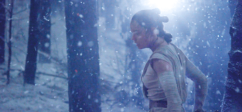 Rey in snow