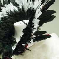 Feather Detail at Dragon Con Costuming Exhibit