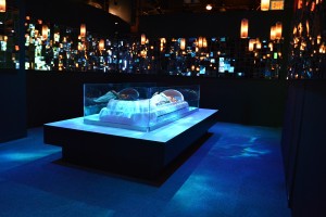 Padme Funeral Room 