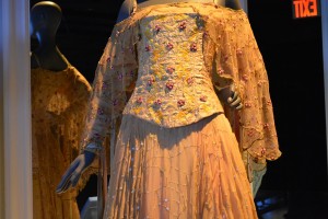 Padme Picnic Detail
